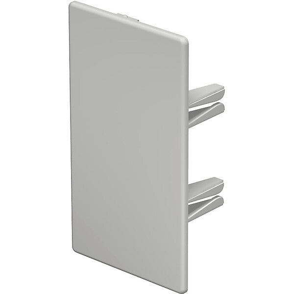 OBO Endstück 60x110mm WDK HE60110RW